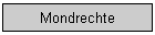 Mondrechte