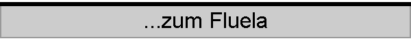 ...zum Fluela